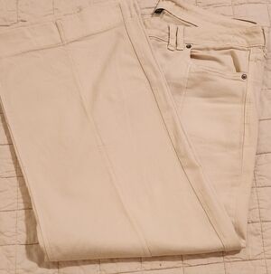 American Eagle Outfitters Off-White Pants